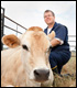 Photo, USDA Veterinarian examining cow