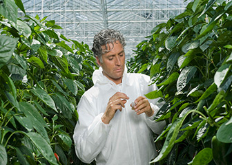 Agricultural and food scientists