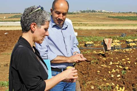 A Palestinian farmer explains to USAID's Mara Rudman the difference between regular potatoes and those grown for Al Salam