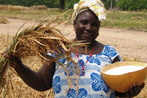 Coumbayel Coulibaly displays a calabash full of the high-yielding New Rice for Africa varietal.