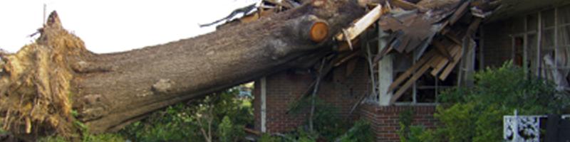 April 27th, 2011. A large, fallen tree lays upon a destroyed single family home's roof.