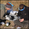 Two health workers in a field