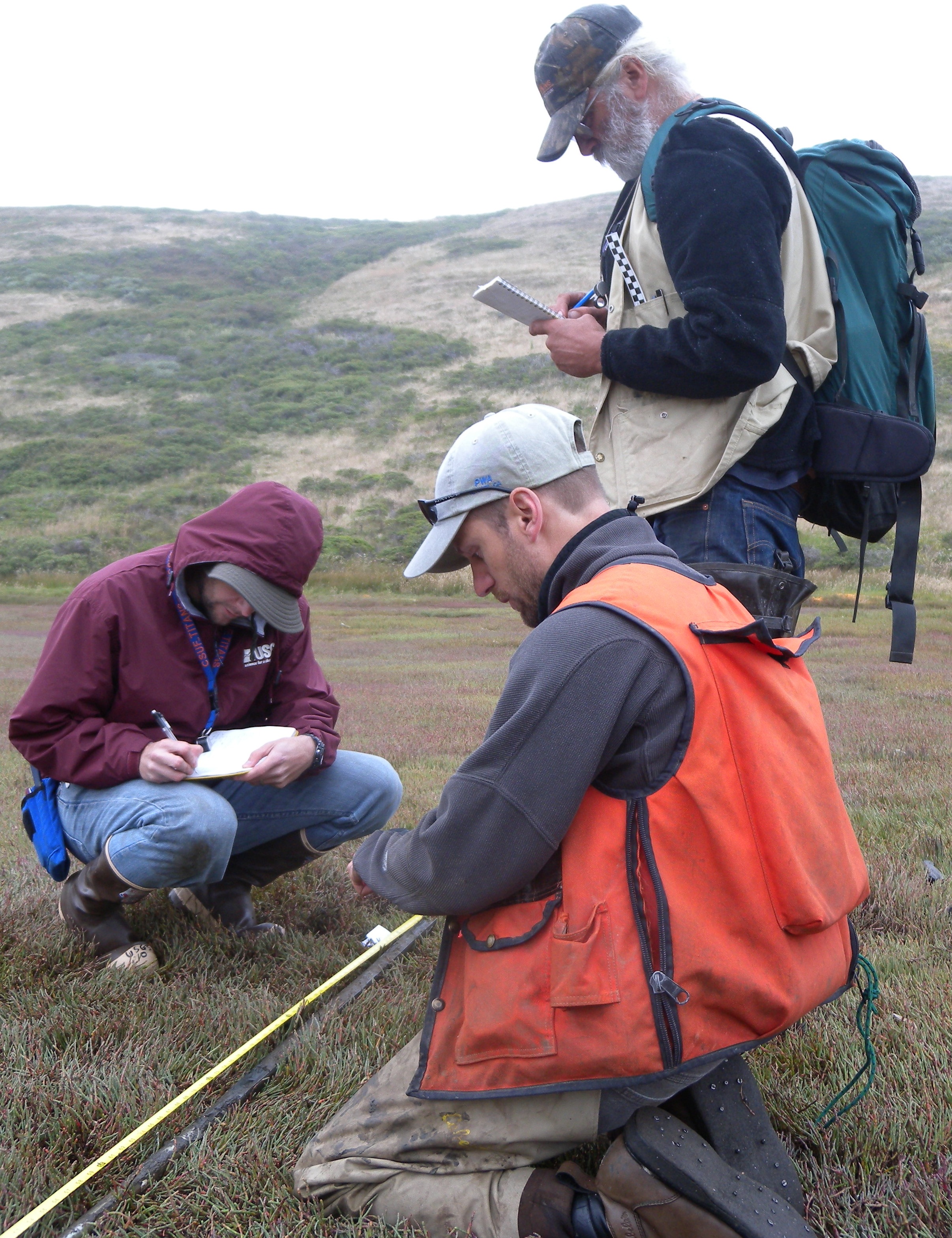 Three scientists taking notes in the field
