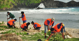 Tsunami Clean-Up Efforts
