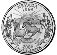 Nevada Wild Horse Quarter