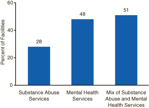 Figure 1. Treatment Facilities Providing Special Programs or Groups for Clients with Co-Occurring Disorders, by Primary Focus: 2004
