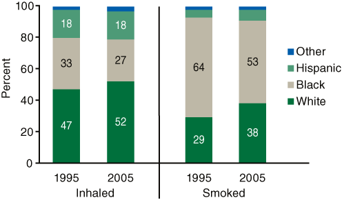 Stacked bar chart comparing Primary Cocaine Admissions, by Race/Ethnicity and Route of Administration between 1995 and 2005