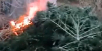 Syrian Rebels Burn Down a Marijuana Field on Facebook