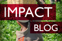Impact Blog