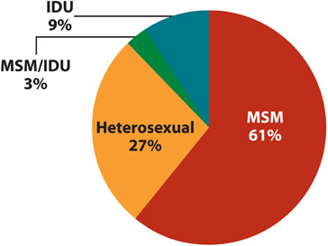 Shown here is a pie chart entitled, Estimated New HIV Infections, 2009, by Transmission Category.
MSM = 61% 
Heterosexual = 27% 
IDU = 9% 
MSM/IDU = 3%