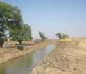 Image of a canal in the Logone floodplain in Cameroon.