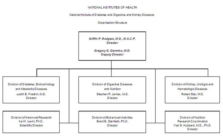 NIDDK Organizational Chart