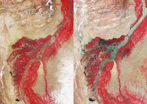 Side by side satellite images of the Indus River. Only a sliver of the river is visible in the wide red region for the image on the left. On the right, the river is much wider and the red region around the river is much darker, showing water spread throughout the land surrounding the river.