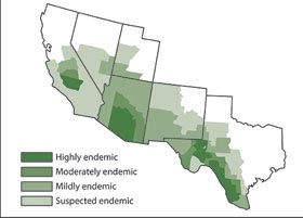 Most cases of valley fever in the US occur in people who live in or have traveled to the southwestern United States, especially Arizona and California. 