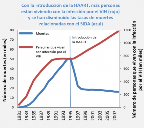 La gráfica muestra que con la introducción de la HAART en 1995, el número de muertes relacionadas con el VIH disminuyó en casi 30,000 en un periodo de más de 2 años, y se mantuvo estable hasta el 2007. Asimismo, el número de personas viviendo con el VIH aumentó en casi 400,000 personas durante ese periodo de tiempo.