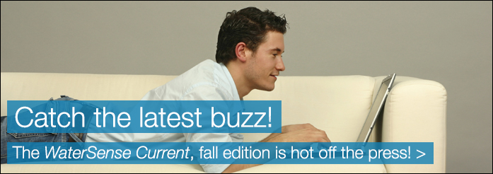 Catch the buzz! The WaterSense Current, fall edition is hot off the press!