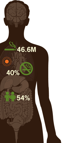 Diagram of a person overlaid with an icon of smoking cigarette with number 46.M, a no smoking icon with the number 40%, and an icon of two children with the number 54%.