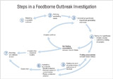 Reduce the risk of Salmonella from Eggs