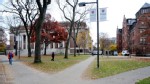 PHOTO: People walk through Harvard Yard at Harvard University, in Cambridge, Mass.