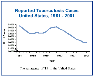 Reported TB cases, US, 1981 - 2001