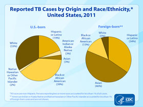 Slide 13: Reported TB Cases by Origin and Race/Ethnicity, United States, 2011. Click here for larger image