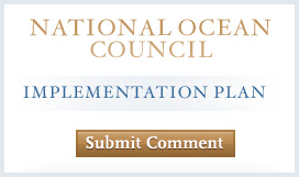 Submit Comment on National Ocean Council Implementation Plan