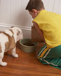 Un niño dándole de comer a su perro