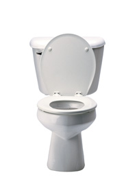 picture of a toilet