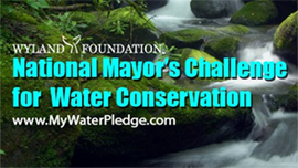 National Mayor's Challenge