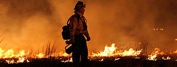 Photo: Fire fighter