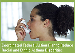 Click to go to the Coordinated Federal Action Plan to Reduce Racial and Ethnic Asthma Disparities