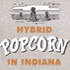 Hybrid Popcorn in Indiana