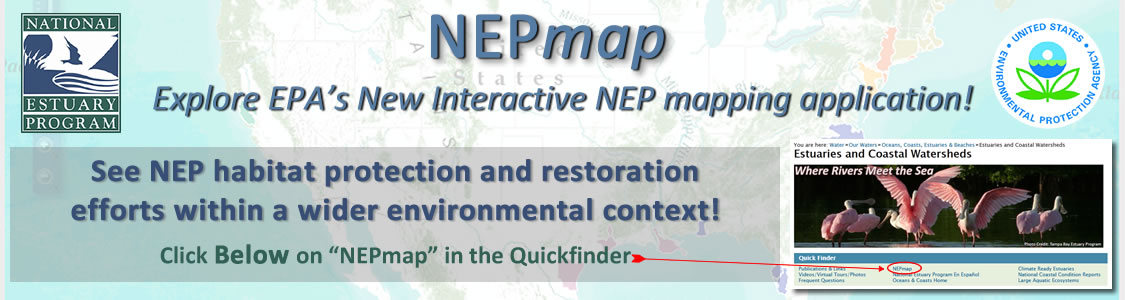 New NEPmap