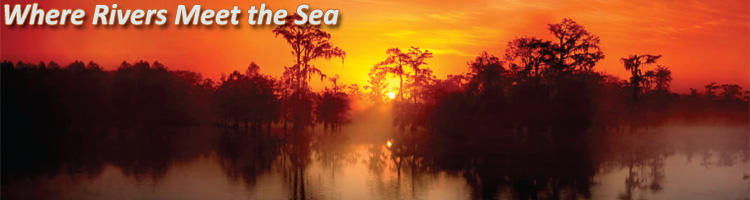 Barataria-Terrebonne Estuary - Louisiana