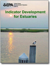 Indicator Development Manual PDF