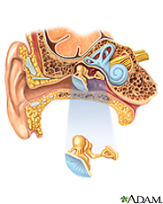 Illustration of the ear and inner ear anatomy