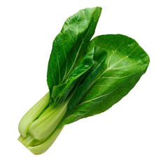 Photograph of bok choy