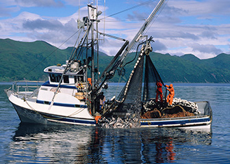 Fishers and related fishing workers