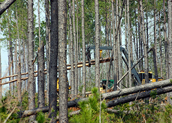 Logging workers