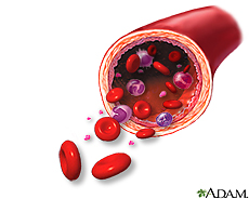 Illustration of elements of blood