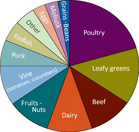 pie chart for Causes of illness in 1,335 single food outbreaks, 2003-2007. Data as follows: Poultry, 20.62%. Leafy greens, 13.88%. Beef, 10.36%. Dairy, 10.3%. Fruits, 10.02%. Vine (tomatoes, cucumbers) 9.77%. 
Pork, 6.42%. Finfish, 5.06%. Other, 4.59%. Eggs, 3.05%. Mollusk, 3.04%. Grains - Beans, 2.89%.  