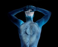 body showing organs