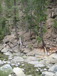 A streamside rock outcrop community.
