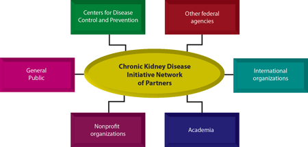Kidney Disease Interest Group at CDC is made up of the National Centers for Chronic Disease Prevention and Health Promotion, Environment Health, Health Statistics, Infection Diseases, and the Office of Public Health Genomics