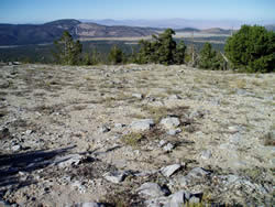 rocky area in the San Bernardino mountains.