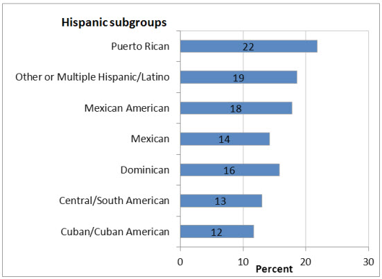 Graphic chart: Hispanic subgroups- Puerto Rican=22, Other or Multiple Hispanic/Latin=19, Mexican American=18, Mexican=14, Dominican=16, Central/South American=13, Cuban/Cuban American=12