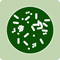A green icon of a petri dish.