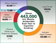 Infographic showing annual deaths attributable to cigarette smoking