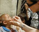 Thumbnail image of video "Meningitis in Burkina Faso"