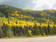 Picture of Fall Colors at Taos Ski Valley